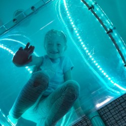 Jako Plyground-białka tatrzańska