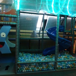 Jako Plyground-białka tatrzańska